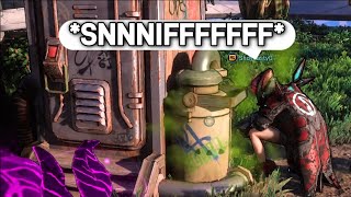 The Absolute BEST Borderlands Experience