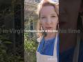 Virginia Beach small business hack!#virginia #virginiabeachva #virginiabeach