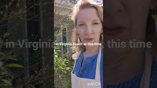 Virginia Beach small business hack!#virginia #virginiabeachva #virginiabeach