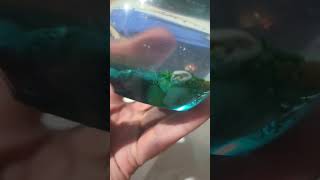 Beach Apple Finished