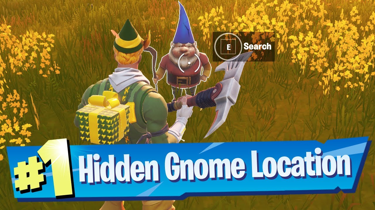 Search the hidden Gnome found inbetween Fancy View, a wooden shack and a .....