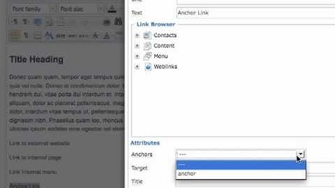 Working with links in your WYSIWYG Editor