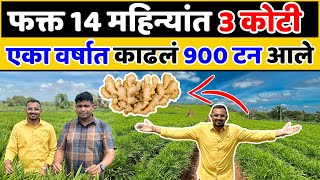 तब्बल बावीस एकरात आल्याची शेती🤑🔥😱| Ginger Farming A to Z💯| Indian Farmer Marathi