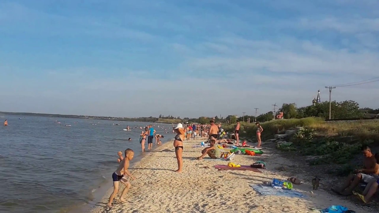 Погода в ейске в июне 2024. Змеи в Ейске в Лимане. Ейск вода. Море в Ейске в июле. Ейский Лиман в июле.