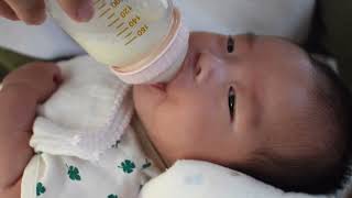 【ASMR】赤ちゃんがミルクを飲む音＃高画質高音質バージョン