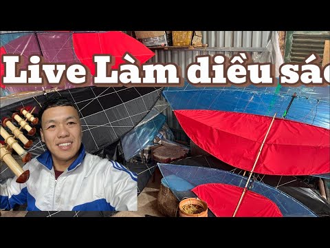 Live Đang làm diều sáo mới nhất luôn