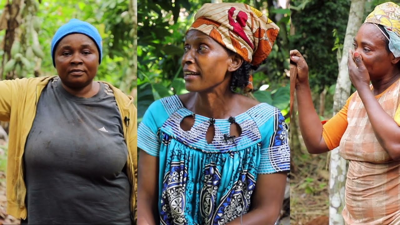 Les Amazones du Cacao