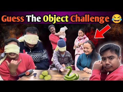 One Object Photo Challenge Guess The Object Challenge Blindfolded 😱 Try Not To Laugh 😂 @luvdavlogs ...