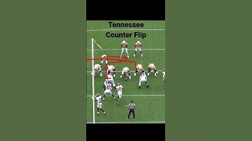 Tennessee Counter Flip