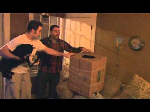 cat-box-prank-mtv-pranked