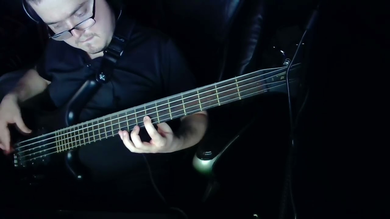 System of A Down - PIG (Bass Cover)