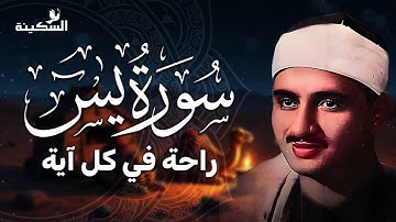 سورة يس كما لم تسمعها من قبل! تلاوة خاشعة