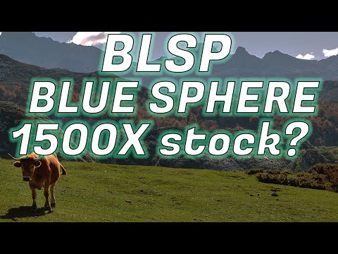 Who Is BLSP?