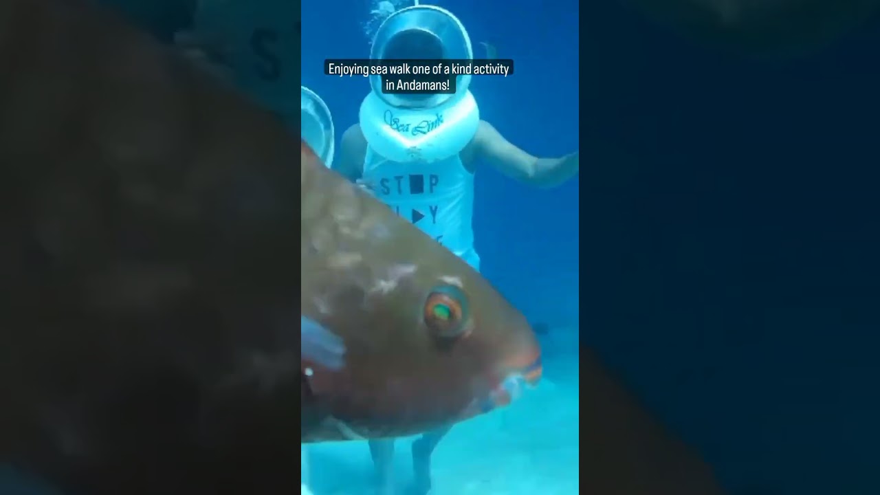 Sea Walk in Andaman | North Bay & Elephant Beach | Discover Andaman Holidays