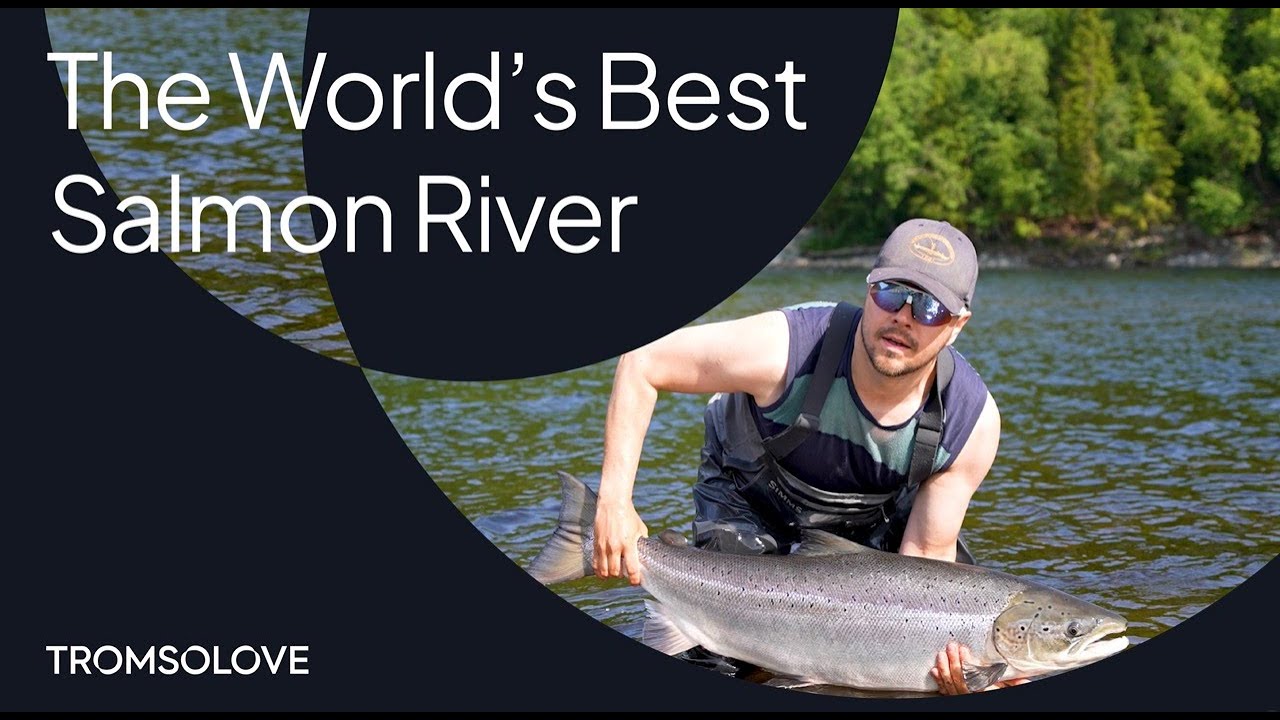 Breaking records in the best salmon river on Earth - the Alta River