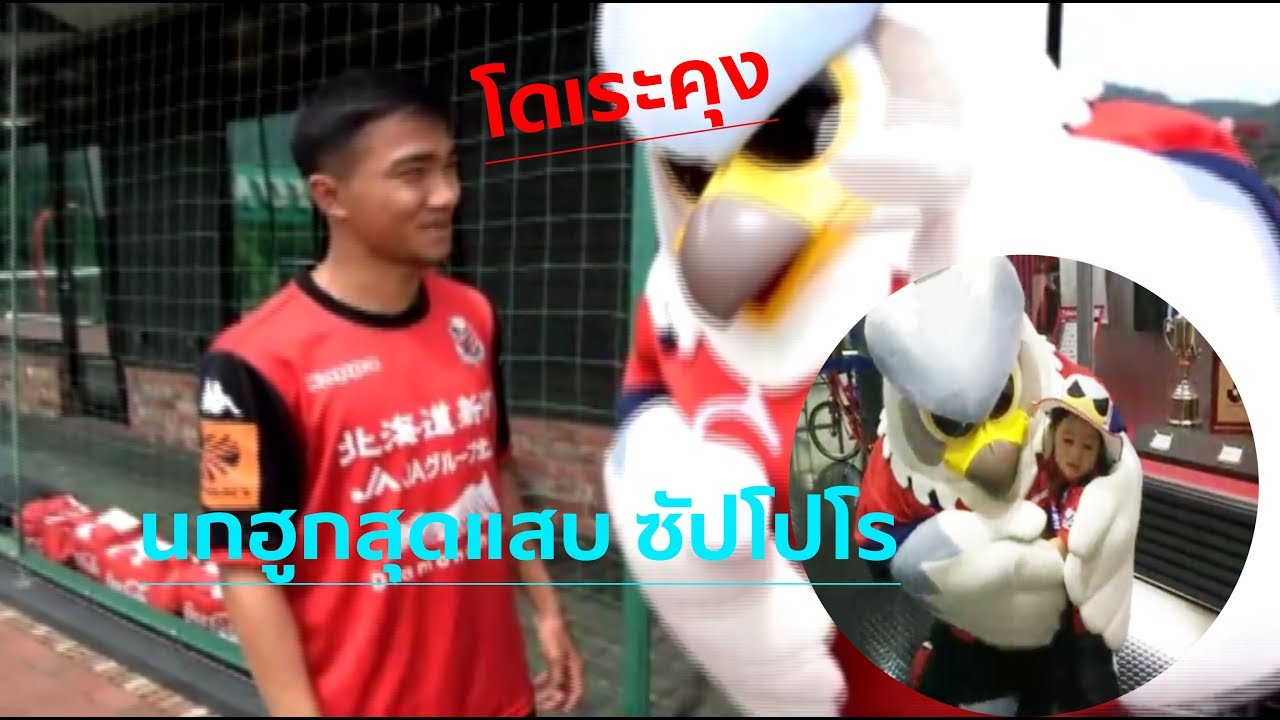 โดเระคุง นกฮูกสุดแสบของสโมสรซัปโปโร ที่ครองใจแฟนบอลฮอกไกโด official travel center