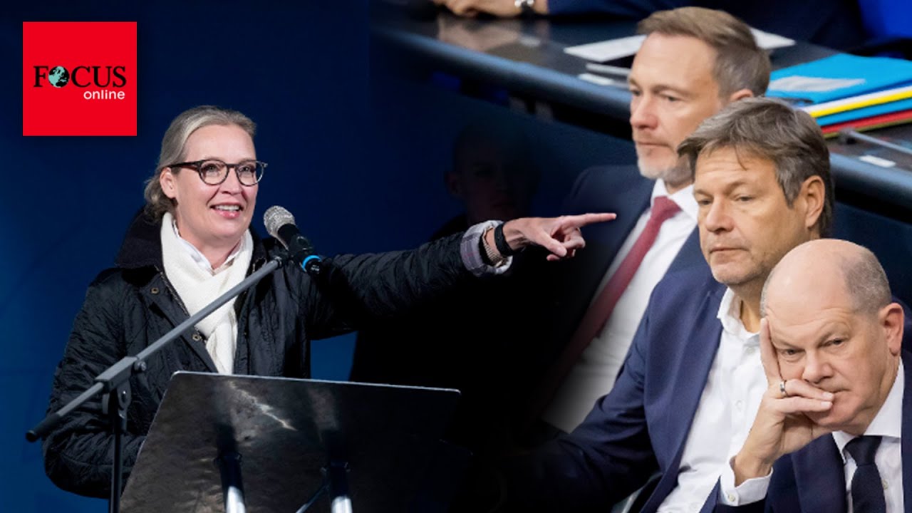 AMPEL-KOALITION: Kann Kanzler Scholz seine Regierung noch bis 2025 zusammenhalten? | WELT Umfrage
