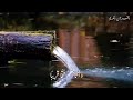 راحة وسكينه القرآن الكريم بصوت القارئ عبد الرحمن مسعد