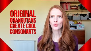 Spencer's Take: Orangutan Slang