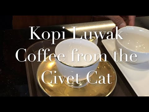 Artificial Kopi Luwak
