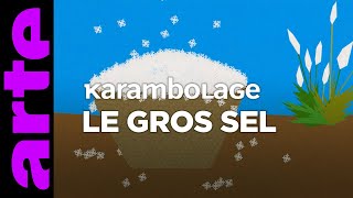 Le gros sel  Karambolage  ARTE