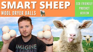 Smart Sheep Dryer Balls: Eco-Friendly Product Review