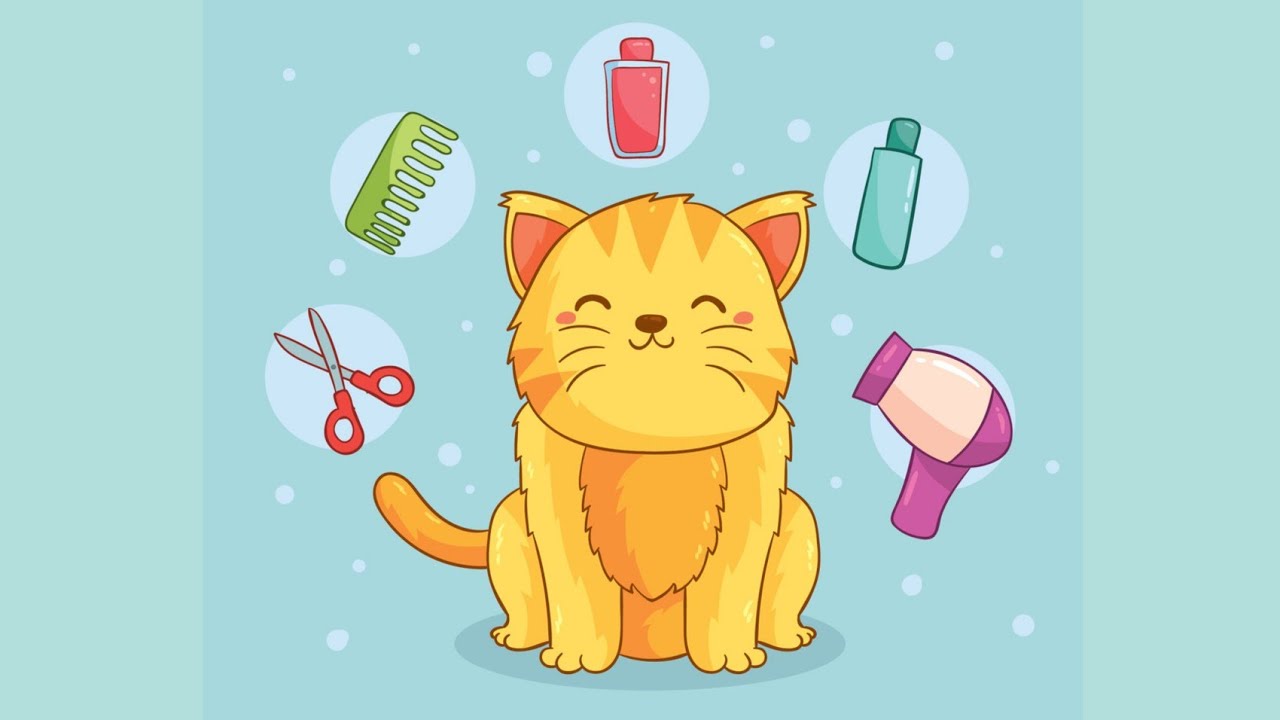 Kedi Köpek Traş Makinesi Evde Kedi Tıraşı (Bobo Tıraş Makinesi) YouTube