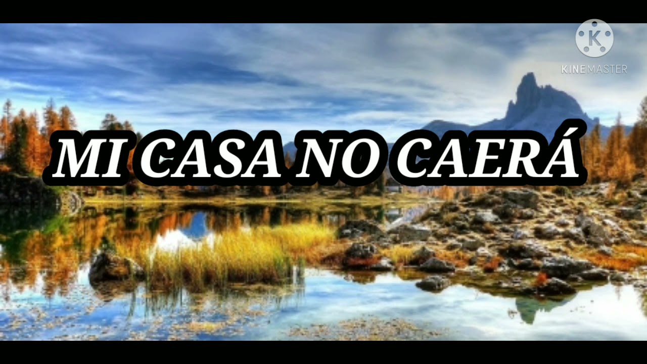 MI CASA Dolores Albero