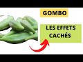 Quels sont les effets du gombo sante remdesmaison bienfaits