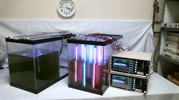 IST Plasma Shells Growing Algae