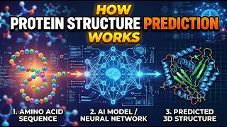 How Protein Structure Prediction Works - AI Solving Biology