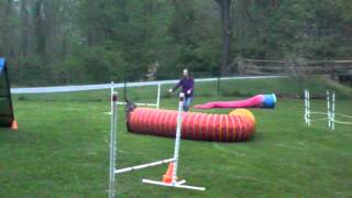 Nova Agility Class May 14 Asti 2