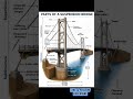 PARTS OF A SUSPENSION BRIDGE #civil #civilconcepts #civilbasicknowledge #suspensionbridge