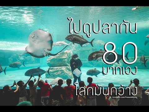 วีดีโอ: ฉันต้องการพิพิธภัณฑ์สัตว์น้ำ ส่วนที่ 1