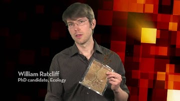 PhD dissertations in one minute or less