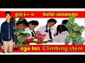 தரம் 5-11 | விஞ்ஞானம் | ஏறும் வேர் | Climbing Root