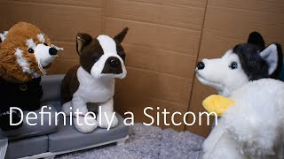 Definitely a Sitcom