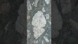 A beautiful piece of the Brescia Lanar meteorite