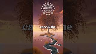 The Dalai Lama’s Powerful Lesson: Compassion Is Action, Not Just Feeling Wealth