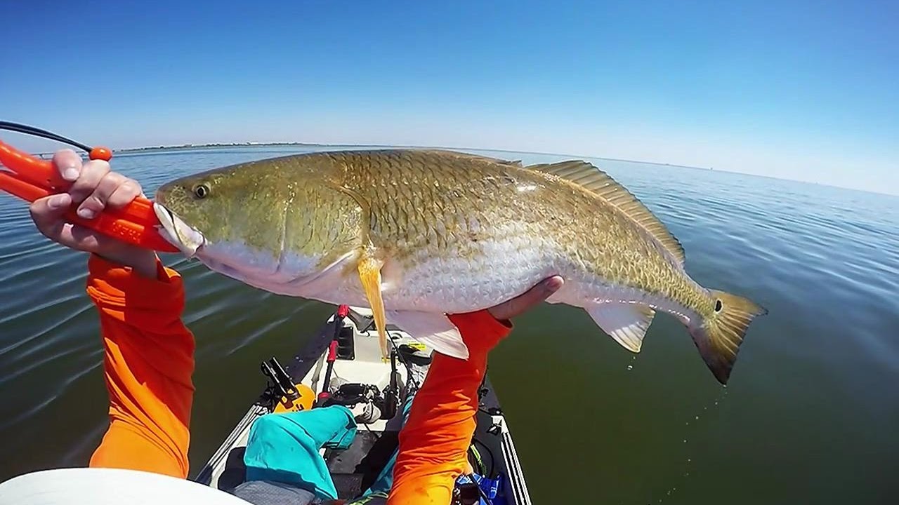 Kayak Fishing Grand Isle, LA part 2 YouTube