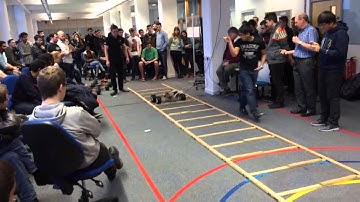 Leeds Buggy Dash 2015