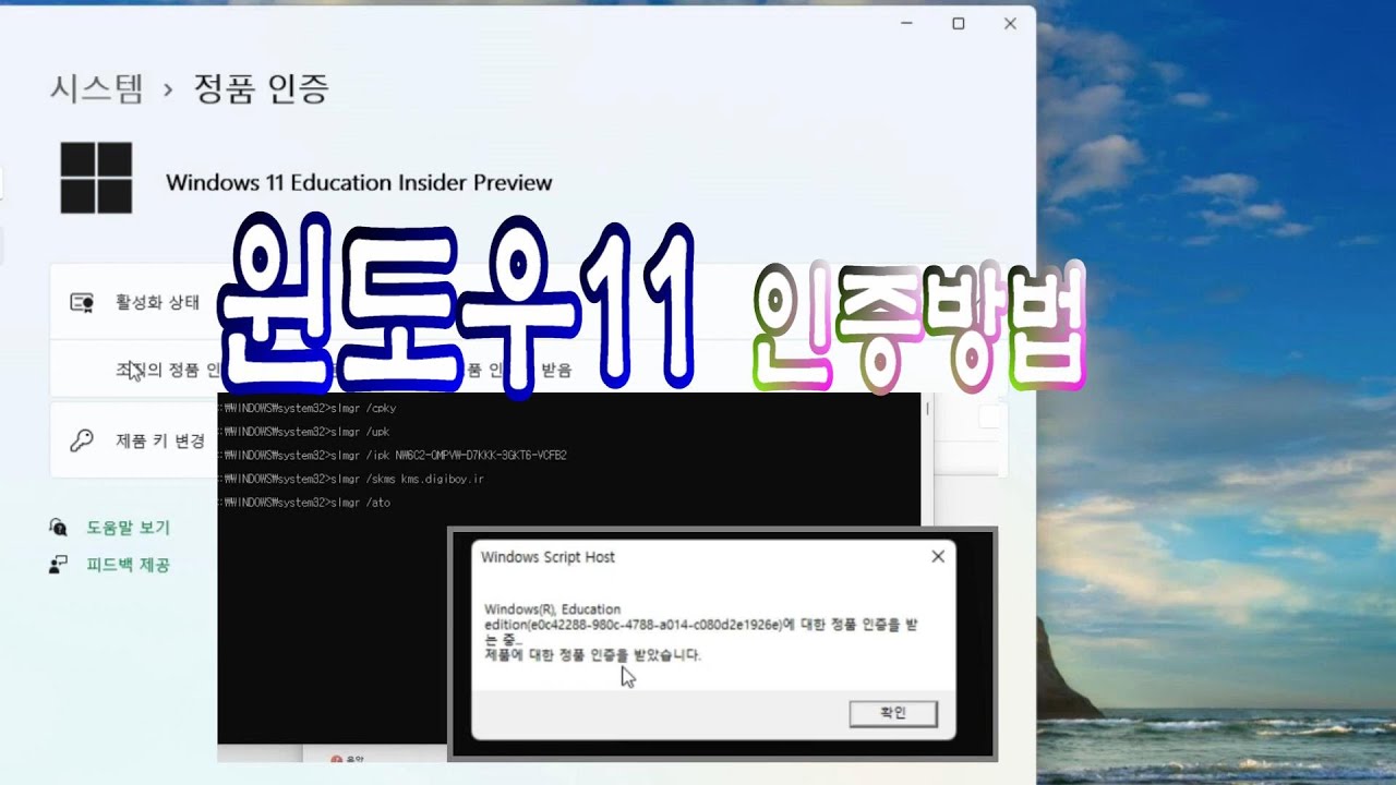 New 윈도우11 정품 인증 무료 평가판 cmd 원클릭 자동 인증 다 불법입니다.