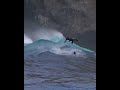 Sea lions riding waves.