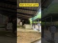 All of them are well and healthy. Confirmed ! #animals #elephant #travel #love #lovestatus