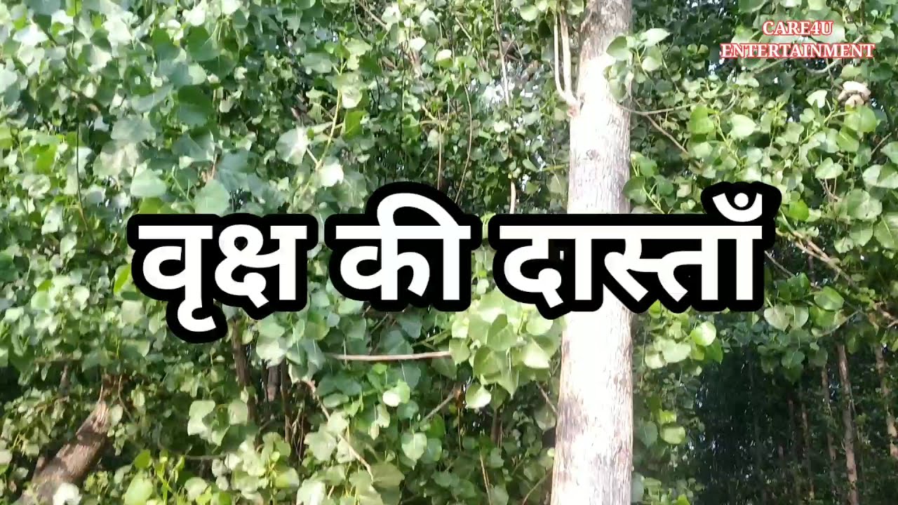 वृक्ष की दास्ताँ # व्यापकतम अर्थ में,वृक्ष प्राकृतिक, भौतिक या पदार्थिक जगत या ब्रह्माण्ड हैं।