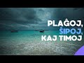 PLAĜOJ, ŜIPOJ KAJ TIMOJ