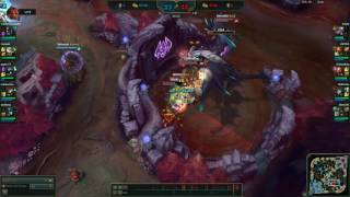Poppy E Bug!