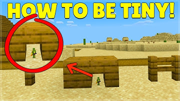 HOW TO BE TINY IN MINECRAFT! 5 Pixels Tall!