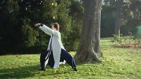 Supreme Harmony - Tai He Quan - Master Ziji Demonstration