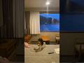 Mt. Fuji #japan #mtfuji #lakekawaguchiko #onsen #tominokohotel #travel #japan
